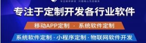 揭示專業(yè)軟件開發(fā)和定制公司的需求。</a>